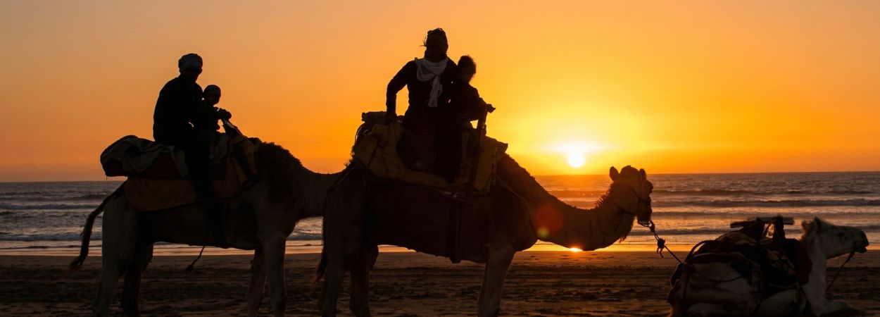 Dromedari al tramonto a Essaouira