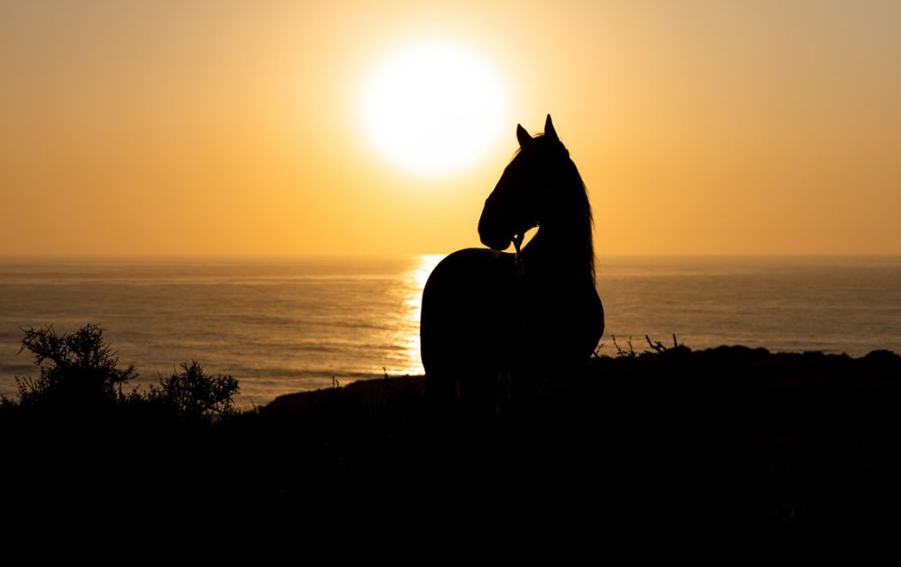 Equiturismo: un viaggio diverso, più lento, più autentico
