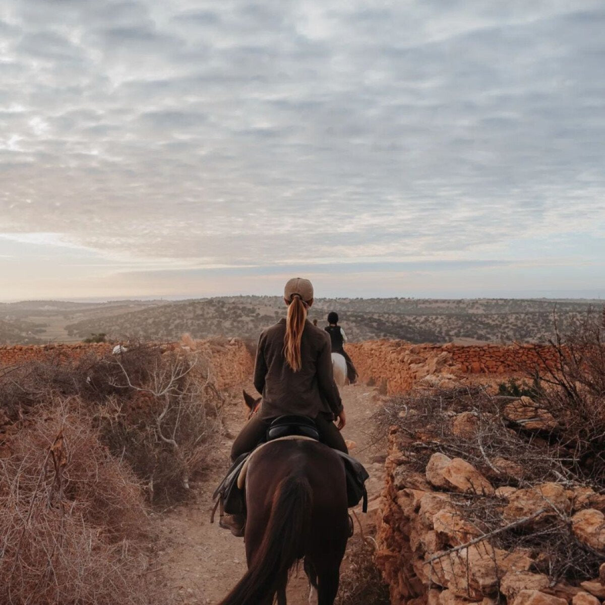 Organizzare un trekking a cavallo itinerante: un lavoro di squadra