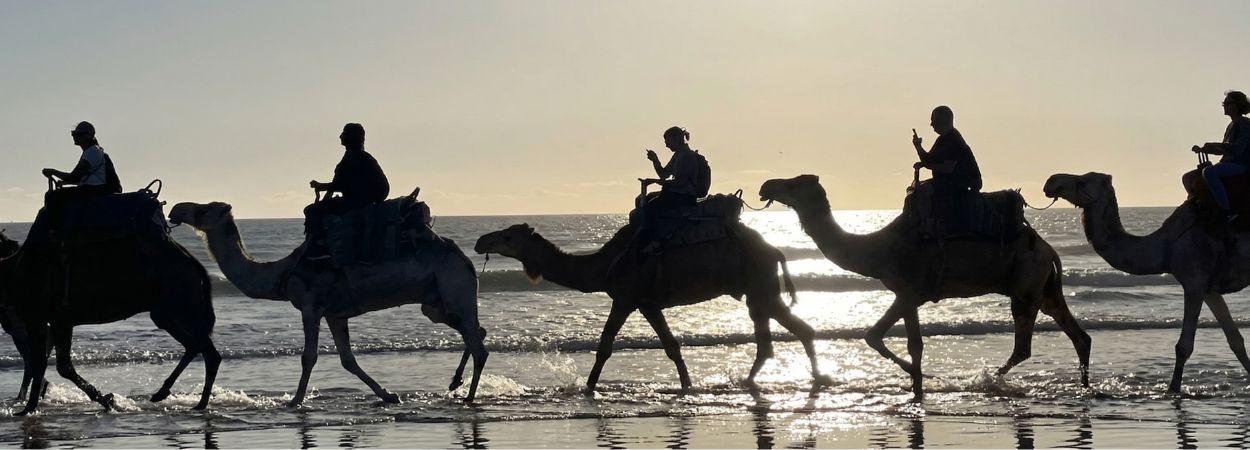 Passeggiata in cammello a Essaouira: guida pratica