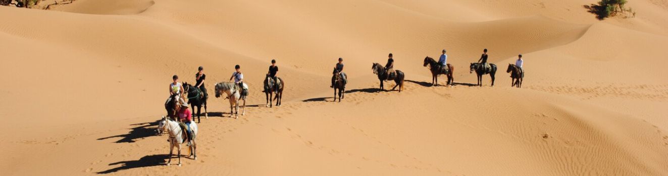 I Tuareg: tra tradizioni ancestrali ed emancipazione femminile
