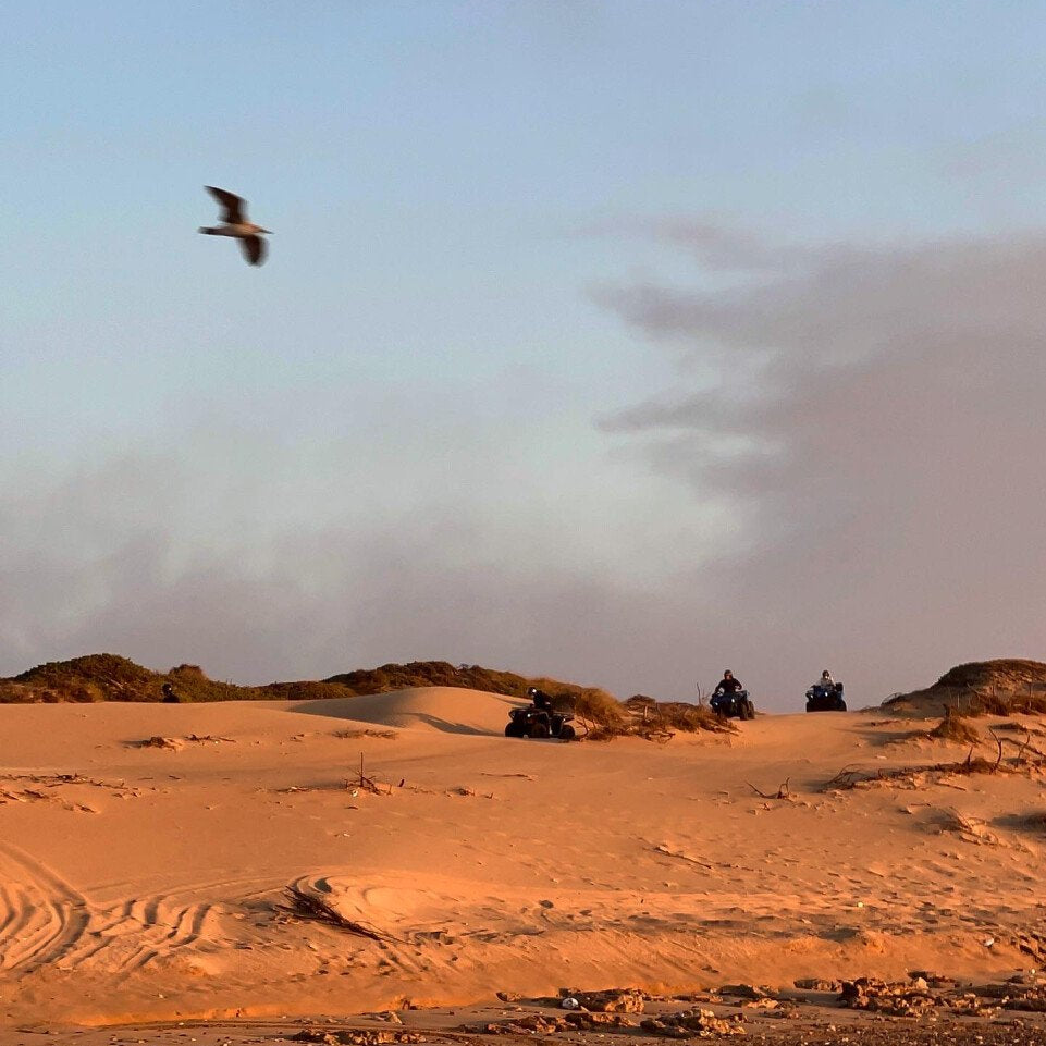 Wochenende und Nacht in einem Berbercamp + Party