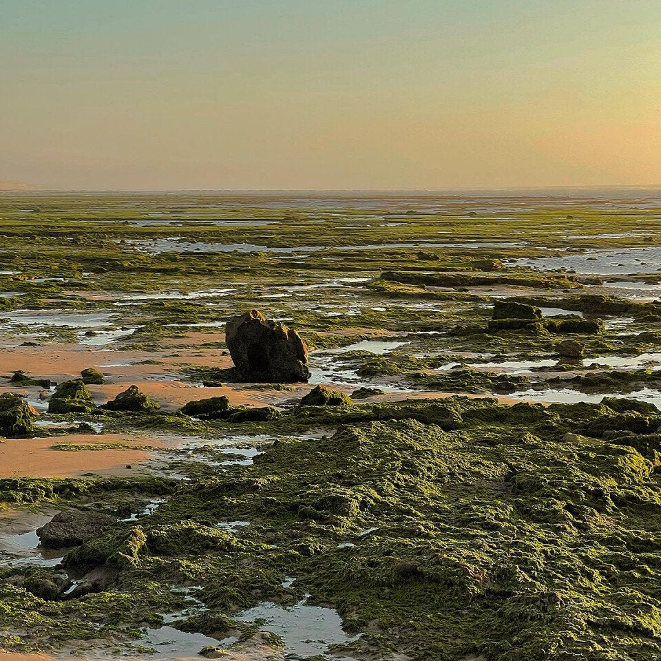Wochenende und Nacht in einem Berbercamp + Party
