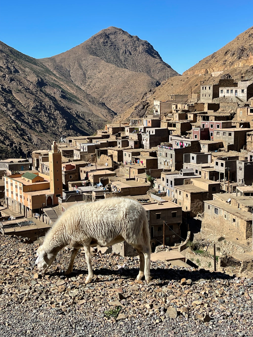 Authentische Reise durch Marokko: 9 Tage zwischen Marrakesch, dem Atlasgebirge und Essaouira (Anzahlung)