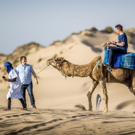 Passeggiata in dromedario 2 ore