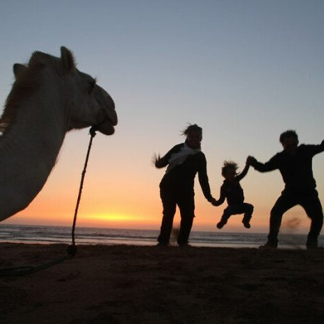 Passeggiata in dromedario 2 ore