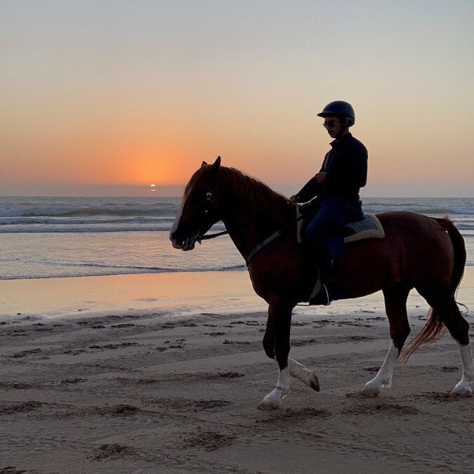 Balade à cheval de 2 heures au coucher du soleil sur la plage