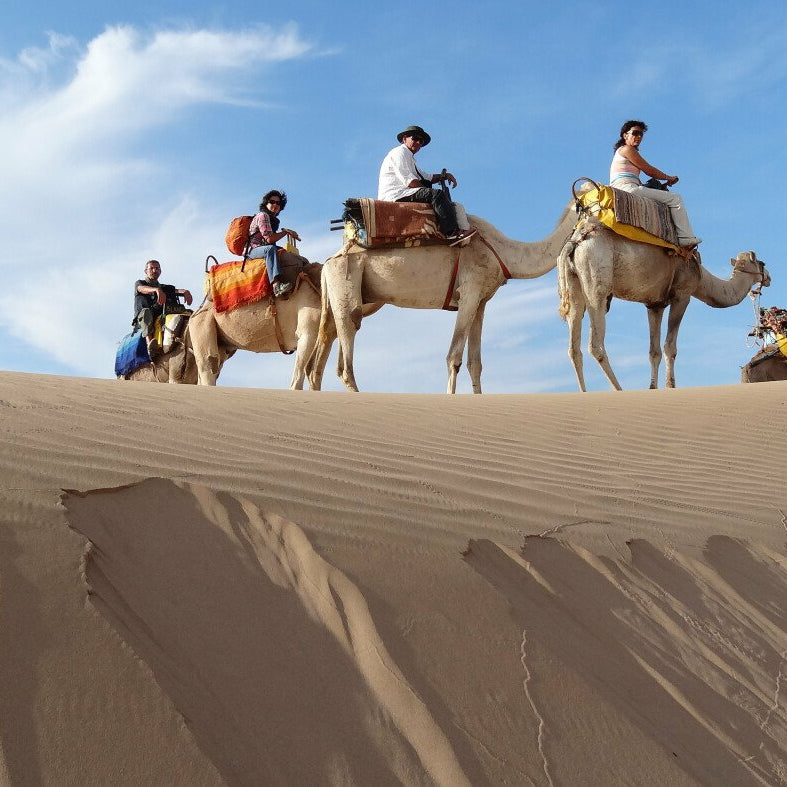 Passeggiata in dromedario 2 ore
