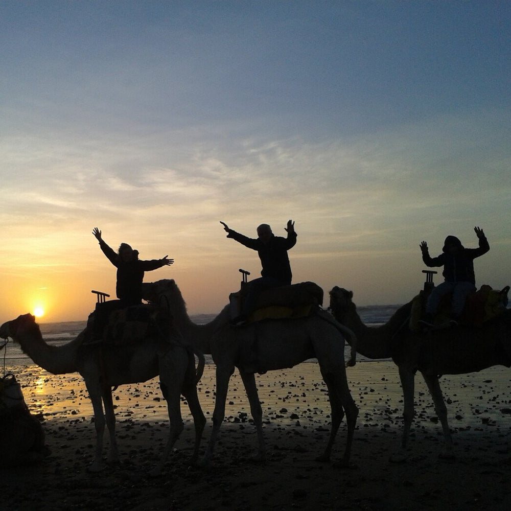 Dromadaire 2 heures au COUCHER DU SOLEIL