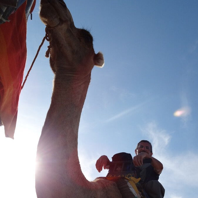 Passeggiata in dromedario 2 ore