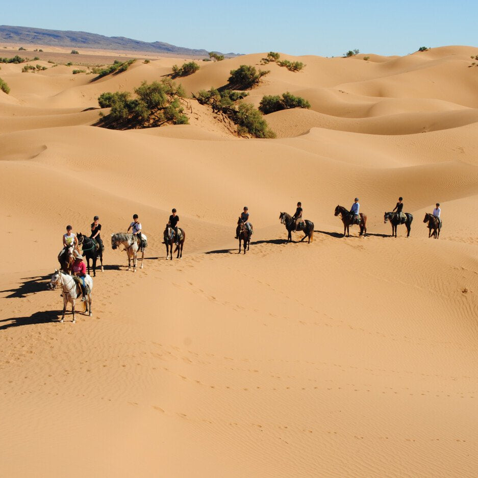 Passeggiata a cavallo con pernottamento