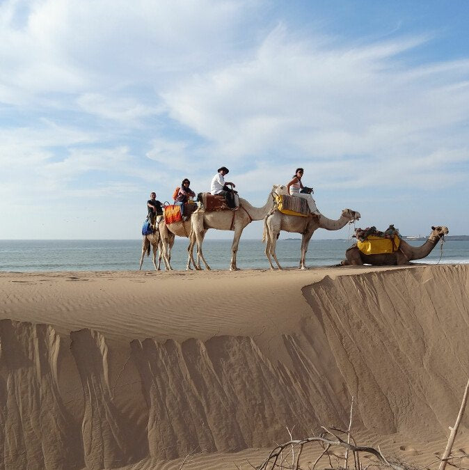 Passeggiata in dromedario 2 ore