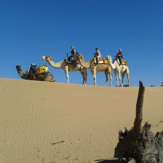 Passeggiata in dromedario 2 ore
