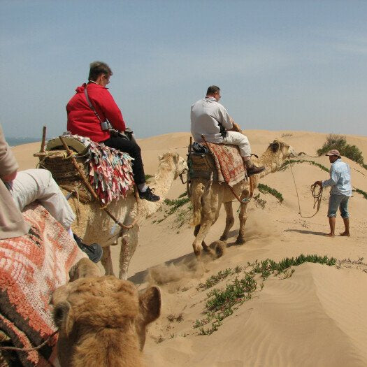 Passeggiata in dromedario 2 ore