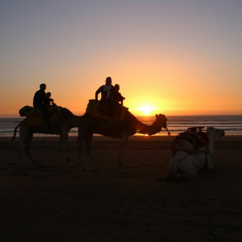 Dromedario 2 ore al TRAMONTO