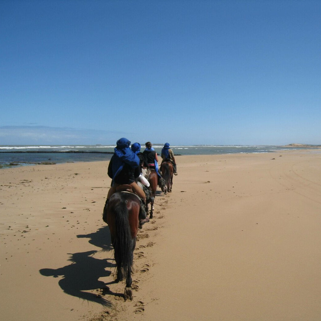 Atlantic Coast Trek