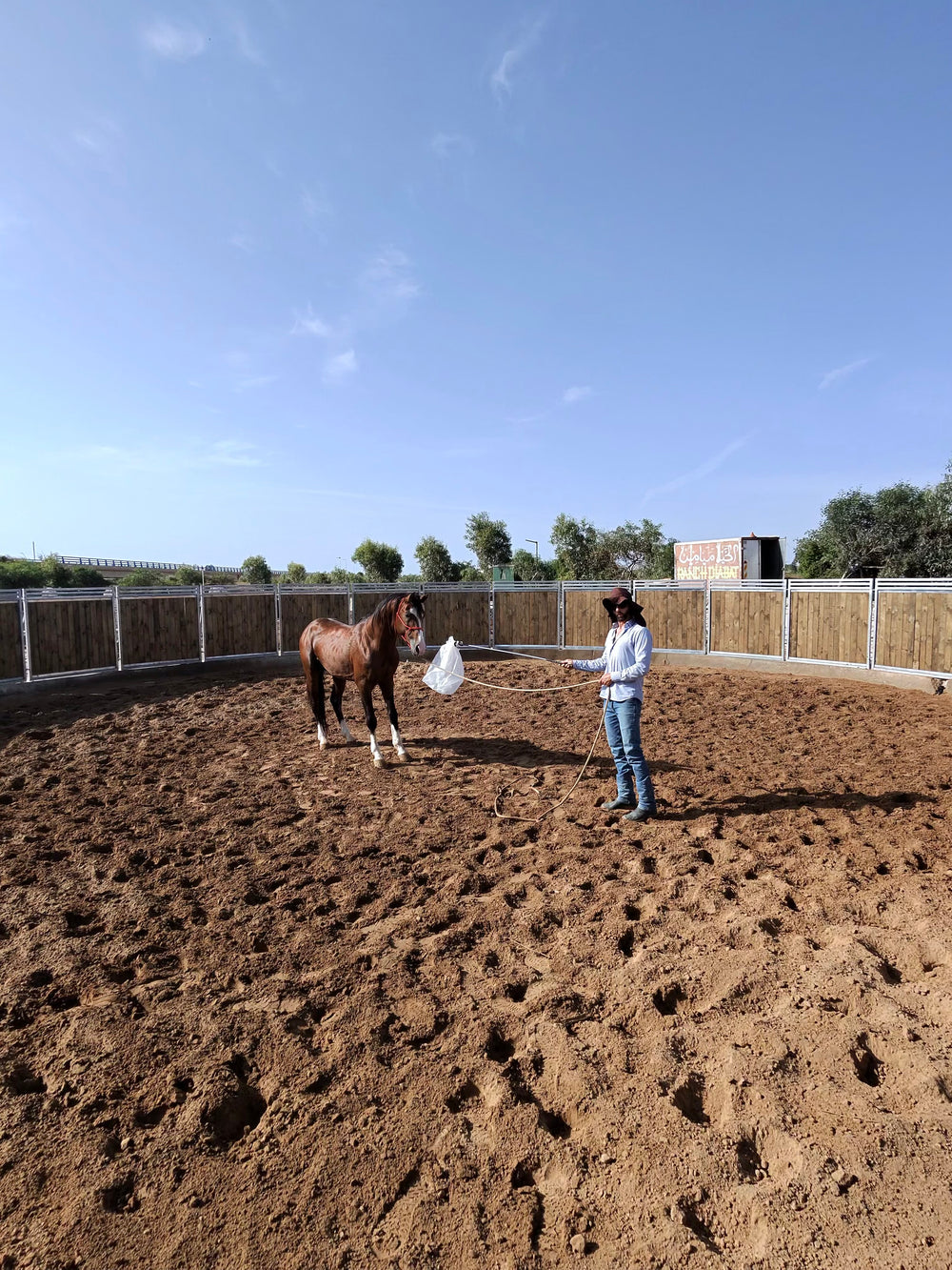 MAROCCO HORSEMANSHIP TRAINING CAMP