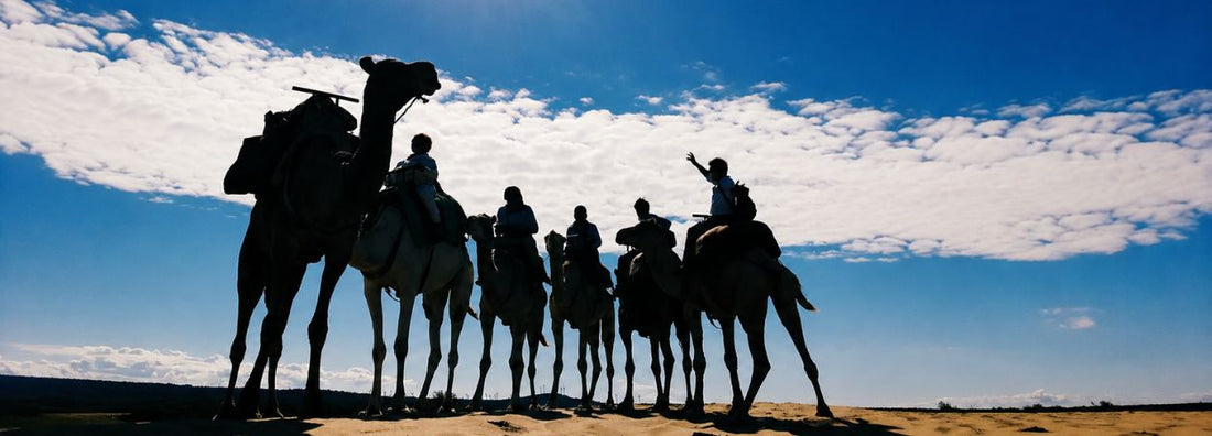 Bourj El Baroud in dromedario | Ranch de Diabat