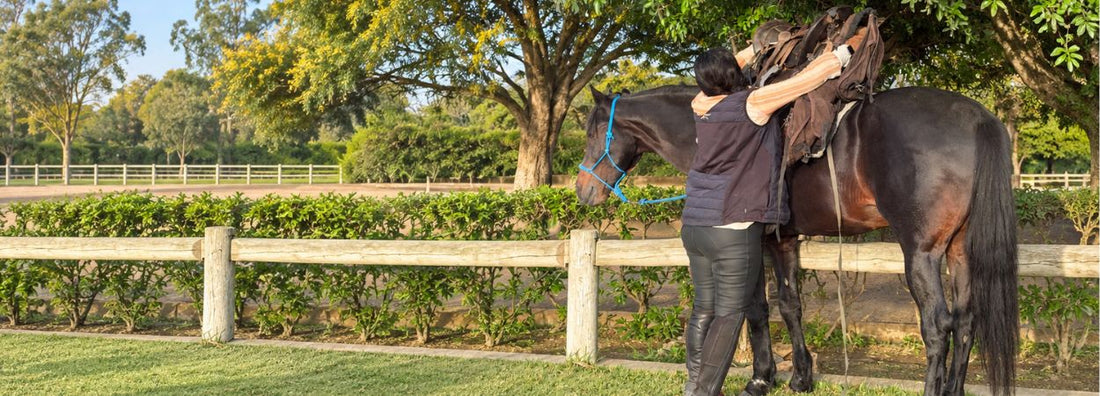Come sellare i cavalli per il turismo equestre | Ranch de Diabat