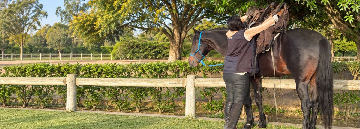 Come sellare i cavalli per il turismo equestre | Ranch de Diabat