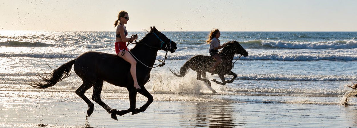 DMC Marocco: come scegliere un partner locale | Ranch de Diabat