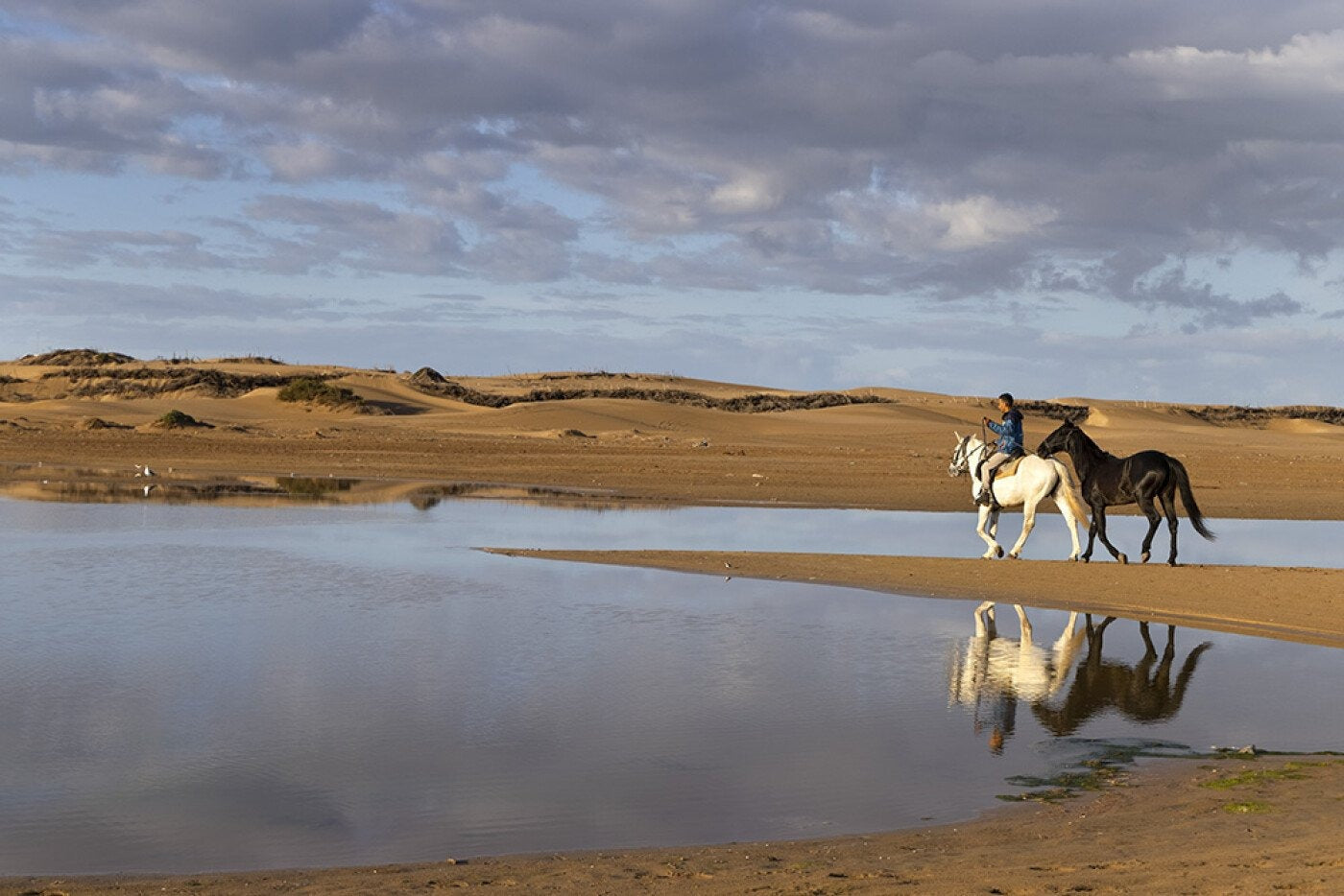 I benefici di una passeggiata a cavallo: trekking nel deserto