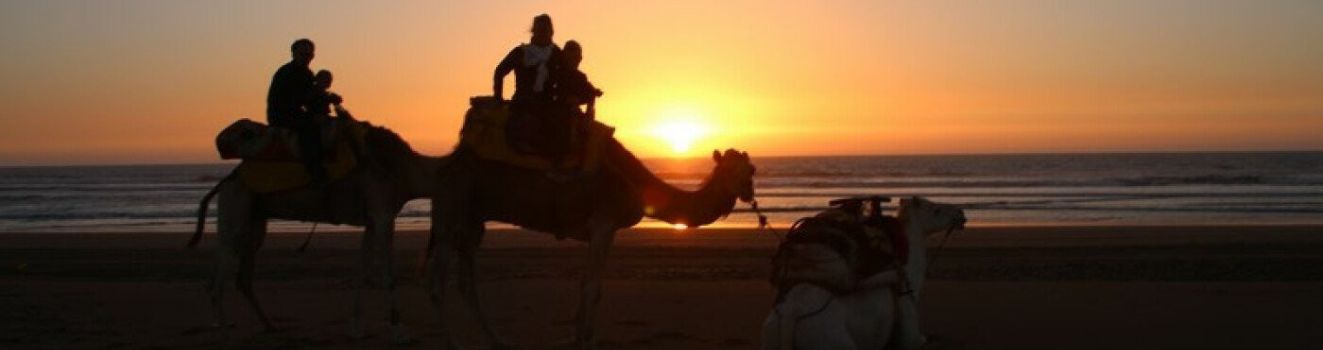 Essaouira in famiglia: 7 esperienze estive da vivere con i tuoi bambini