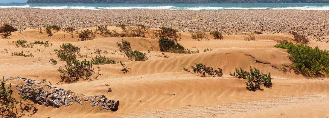 Trekking a piedi a Essaouira | Ranch de Diabat