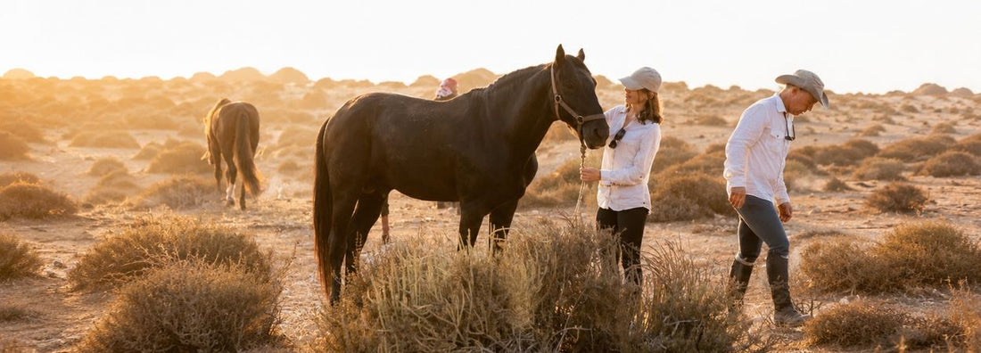Turismo responsabile in Marocco | Ranch de Diabat