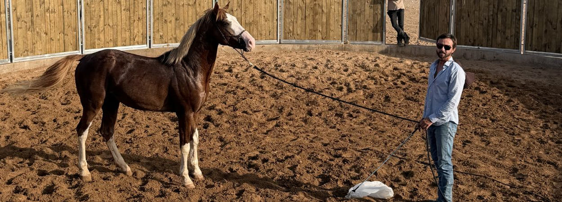 Formazione equitazione | Ranch de Diabat