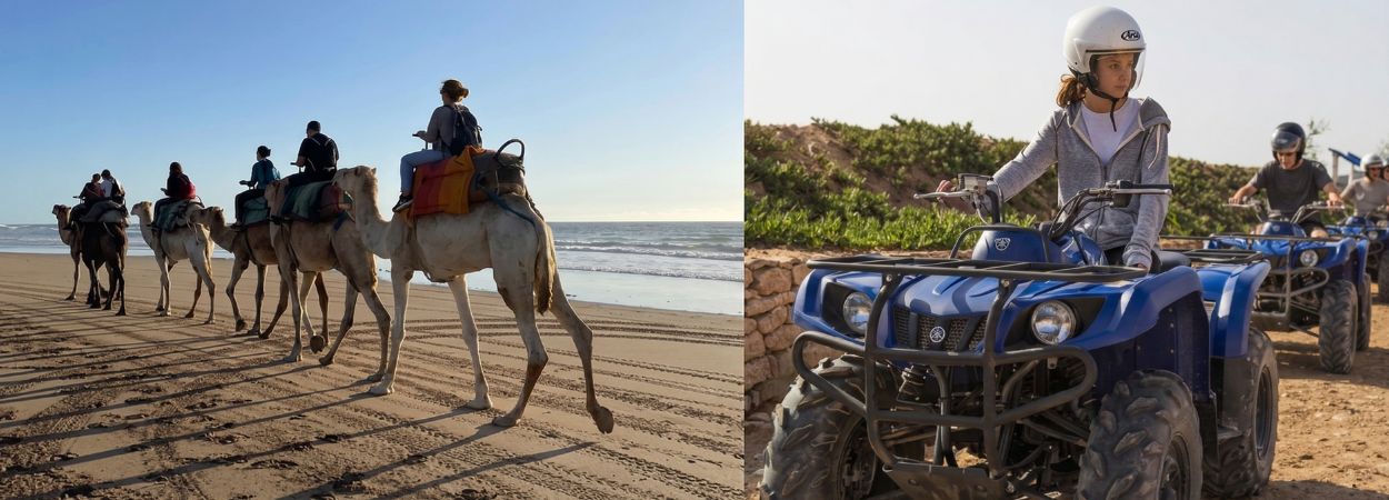 Quad o cammello a Essaouira guida alla scelta