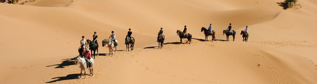 I Tuareg: tra tradizioni ancestrali ed emancipazione femminile