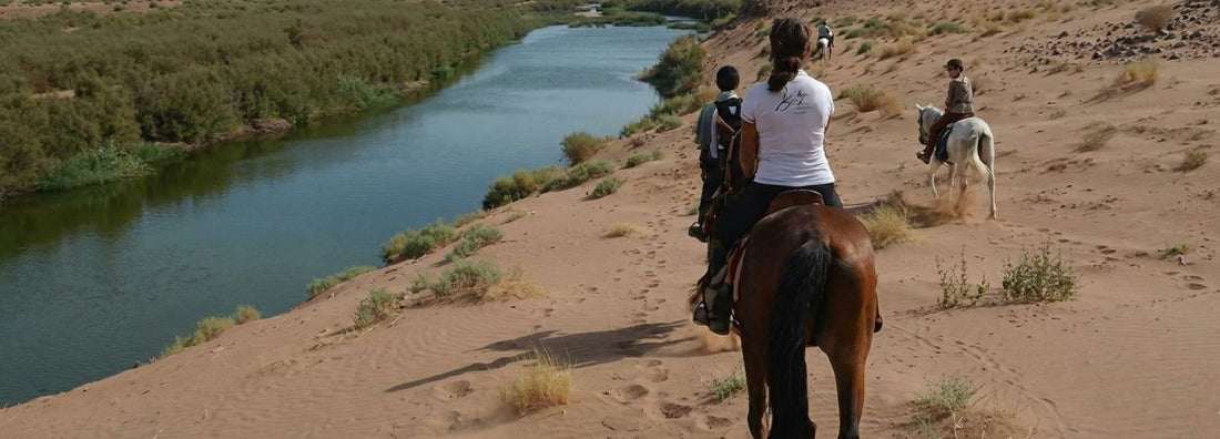 Dormi sotto le stelle e cavalca tra le dune: guida pratica al viaggio nel deserto