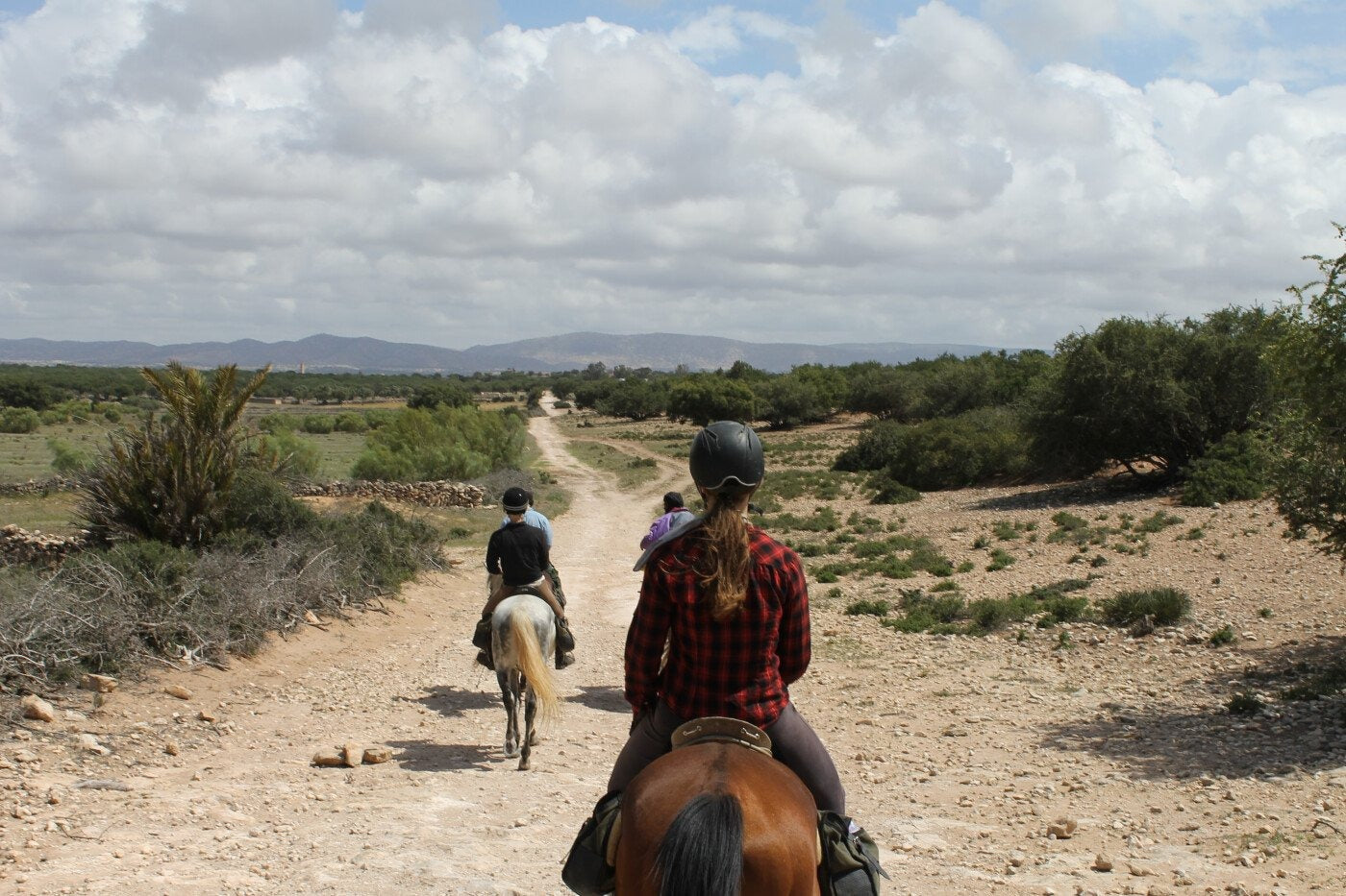 Excursions courtes
