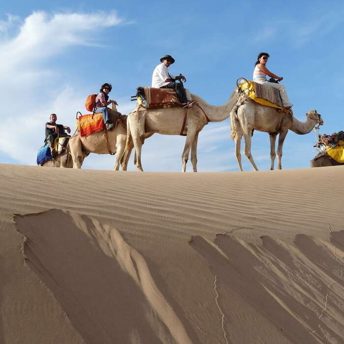 Aventure à dos de chameau