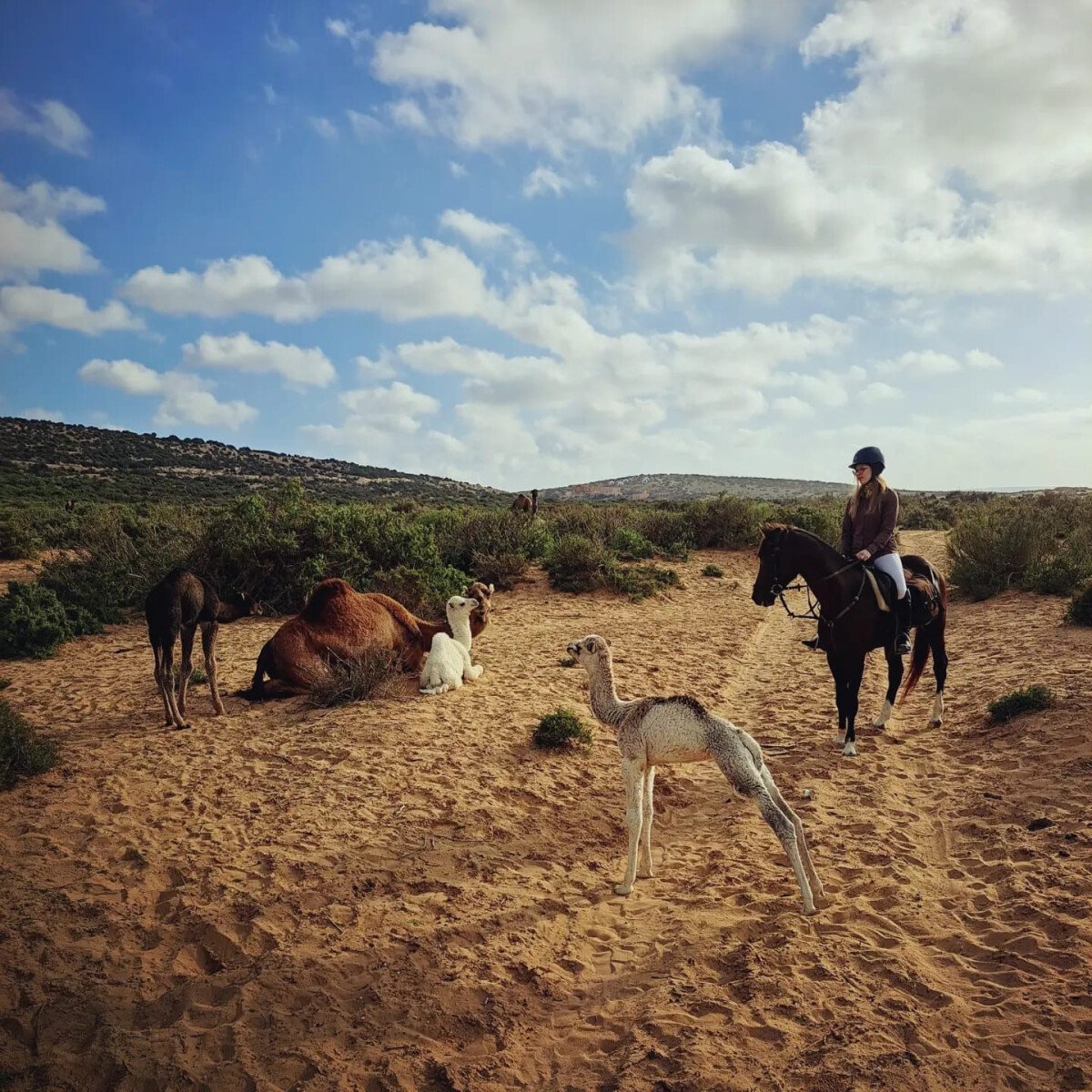 3 jours et 2 nuits à cheval