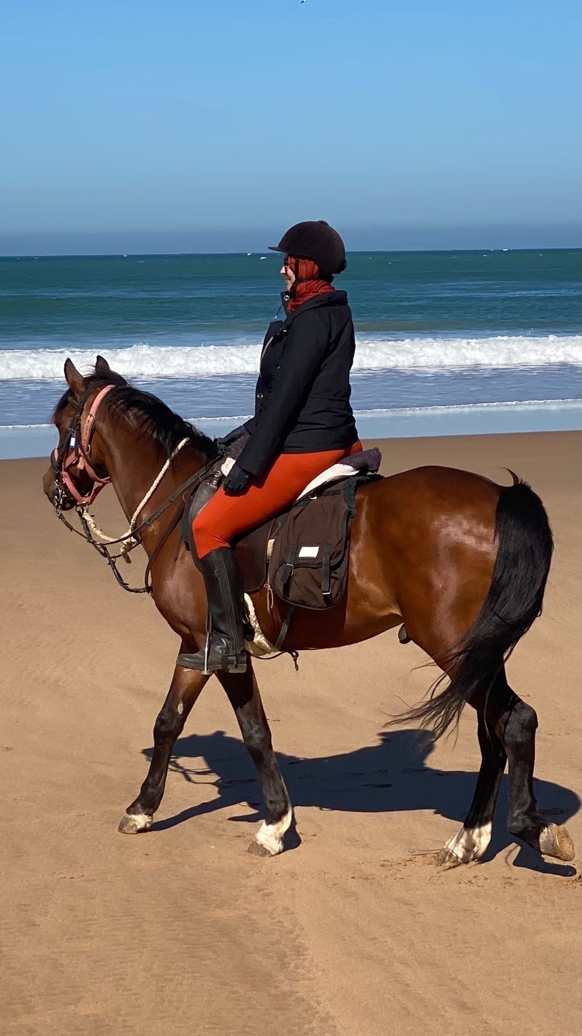 Surfen & Reiten in der Villa