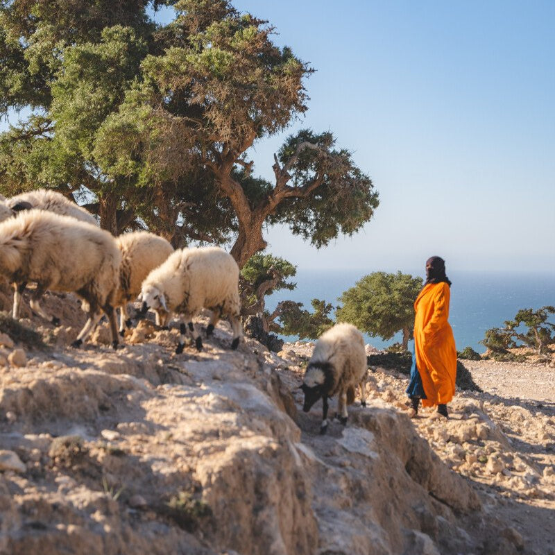 Randonnée équestre amazighe