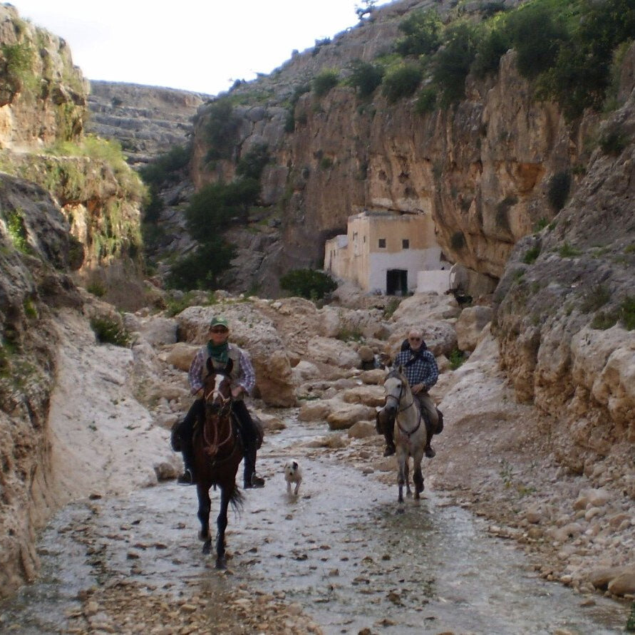 Argan Trek