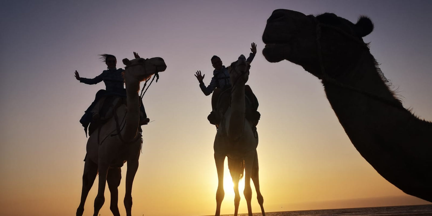 Essaouira Adventure & Relaxation