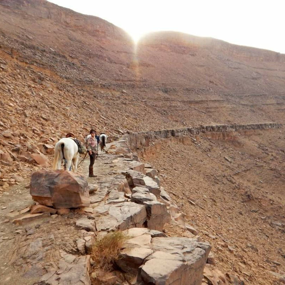Randonnée à cheval touareg dans le désert du Maroc