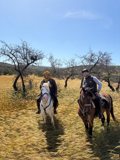 Special Program: Horseback Trekking between Essaouira and the Ocean