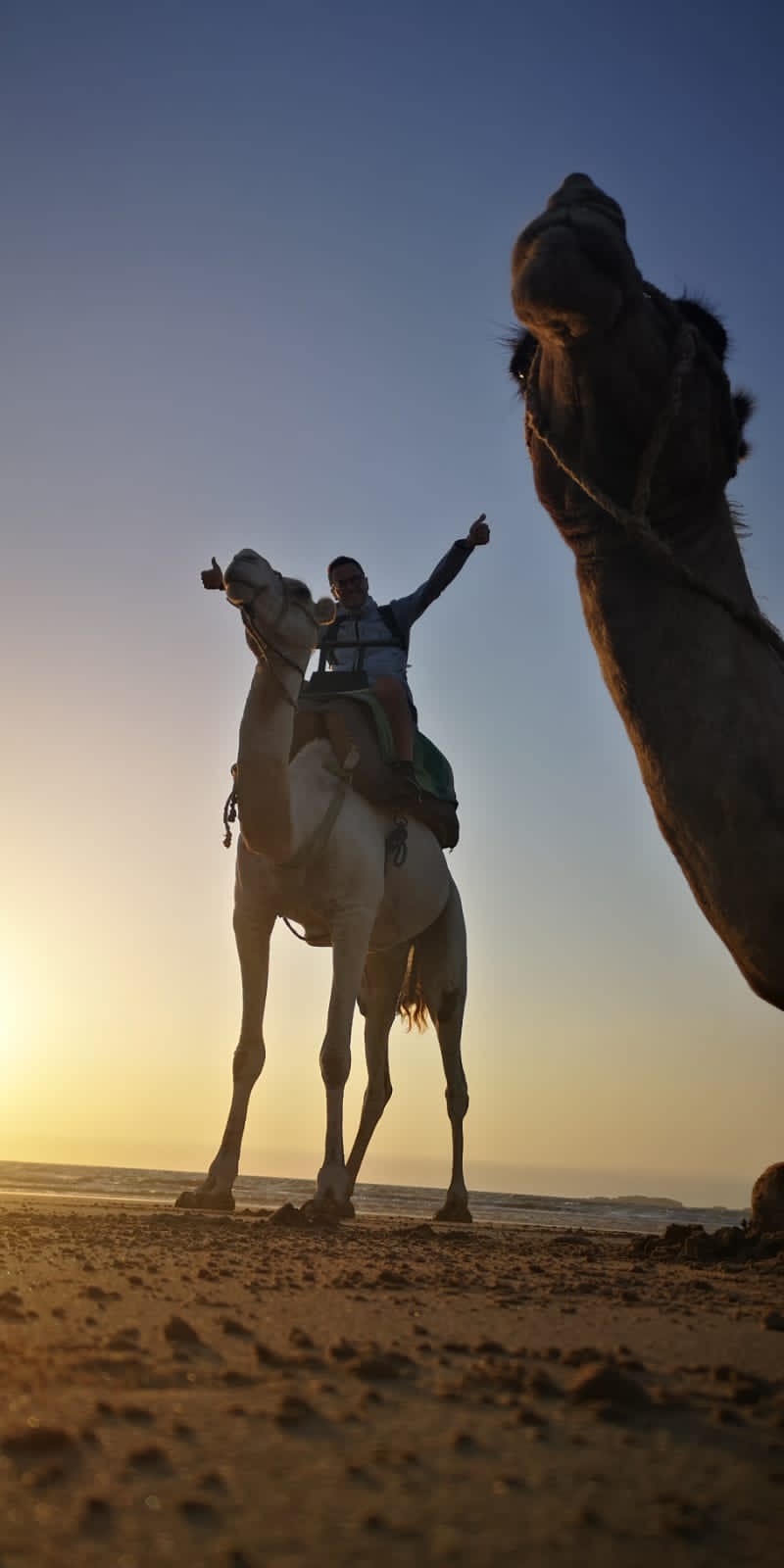 Essaouira Adventure & Relaxation