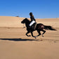 3 jours et 2 nuits à cheval