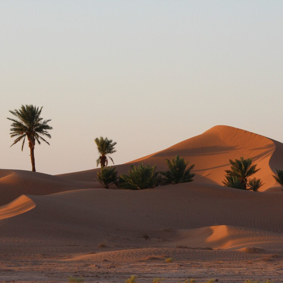 Trekking Touareg a cavallo nel deserto in Marocco