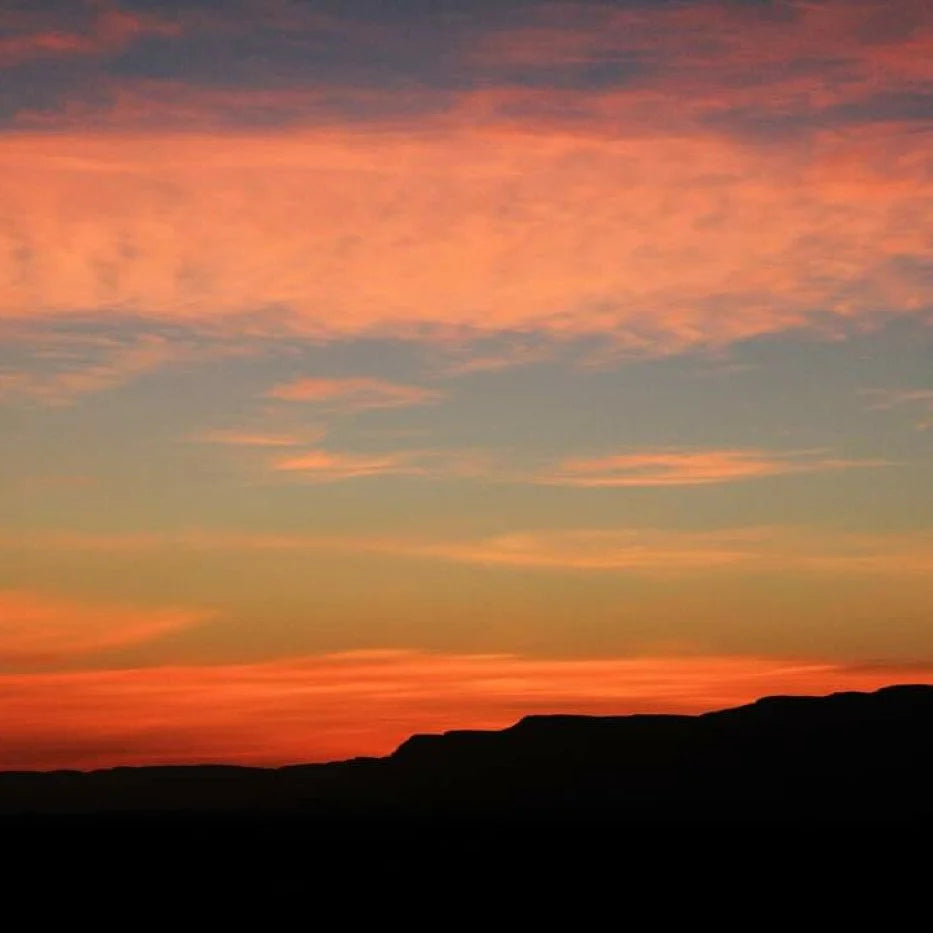 Beginner Riders Morocco – Dalle Basi al Trekking Equestre