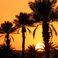 Trekking Touareg a cavallo nel deserto in Marocco