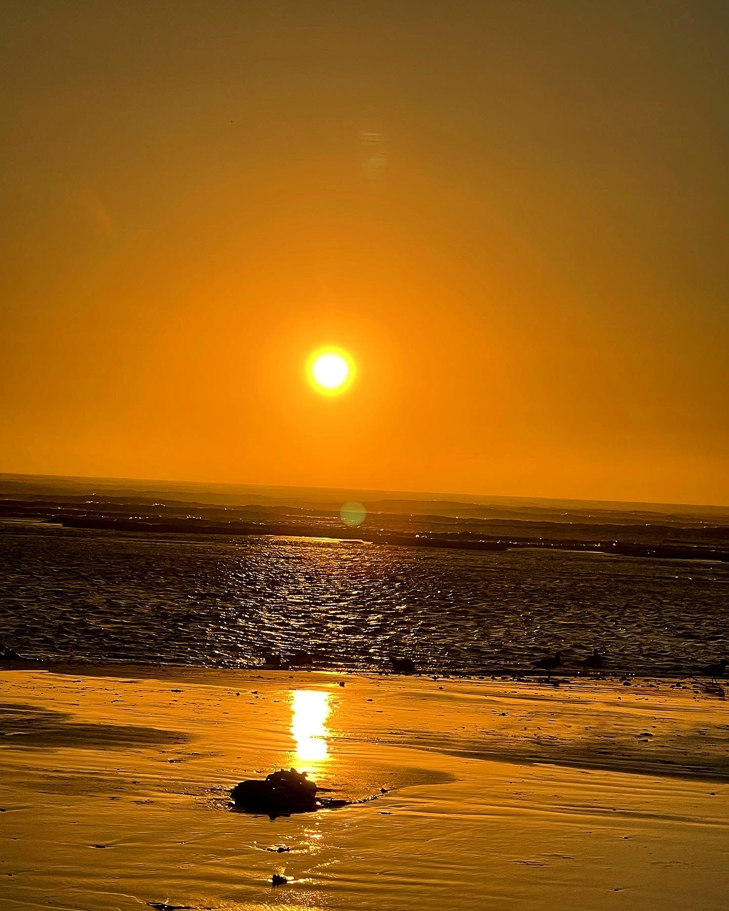 Rituale del tè in spiaggia al tramonto