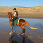 Special Program: Horseback Trekking between Essaouira and the Ocean