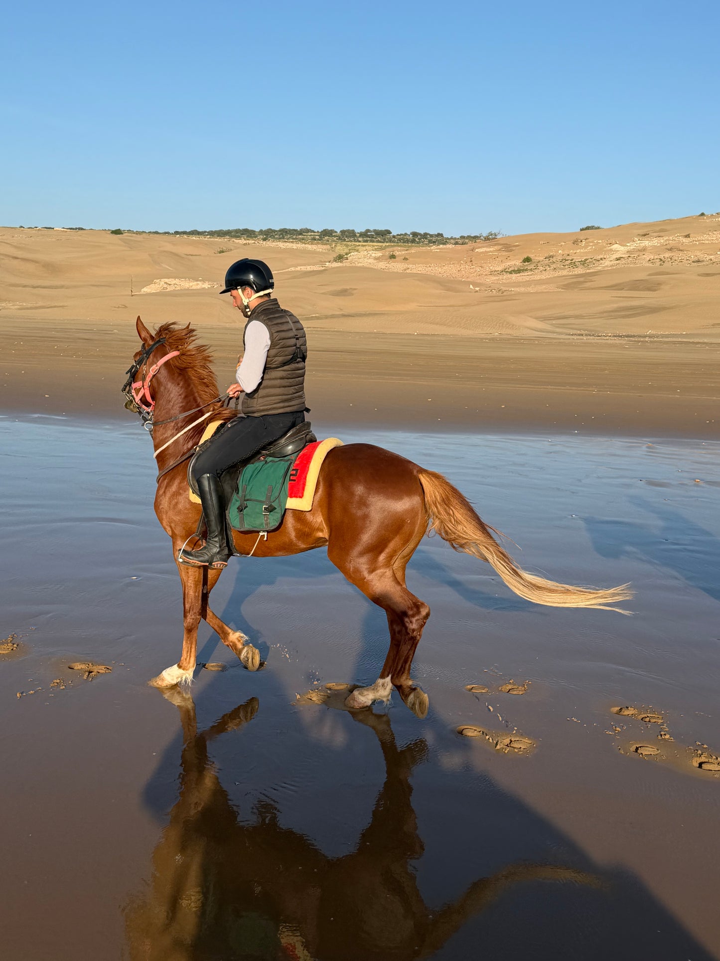 Special Program: Horseback Trekking between Essaouira and the Ocean